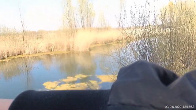 СЕКРЕТНОЕ ОЗЕРО НА ВРЕМЯ КАРАНТИНА смотреть онлайн