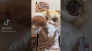 Furry TikTok Compilation #2