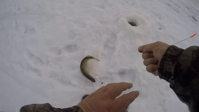 Весенняя рыбалка на одной из таежных речушек ЯНАО. часть 1 смотреть онлайн