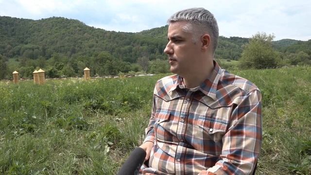 колодно-бортевая пасека "Дикий мед" смотреть онлайн