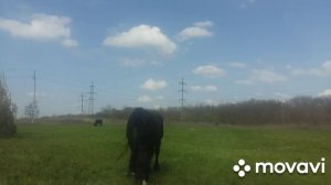 Ростов на Дону, окраина.