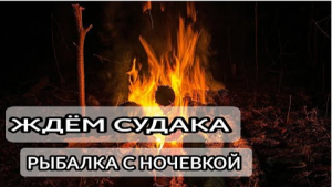 Холодная рыбалка на реке с ночевкой. Забросили фидера на судака и налима