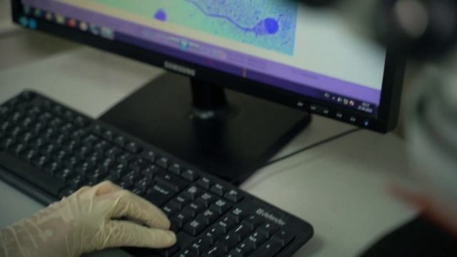 Качество племенной продукции – залог здорового стада