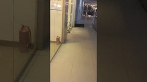 ТЦ Серпантин наро-фоминск