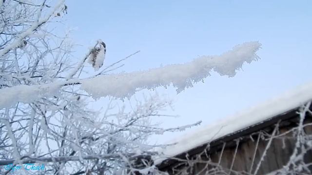 Січневий ранок / January morning смотреть онлайн