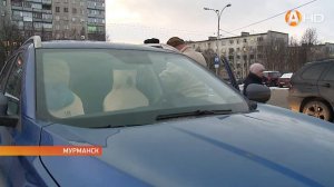 Знак «Стоянка для инвалидов» игнорируется многими автолюбителями HD720