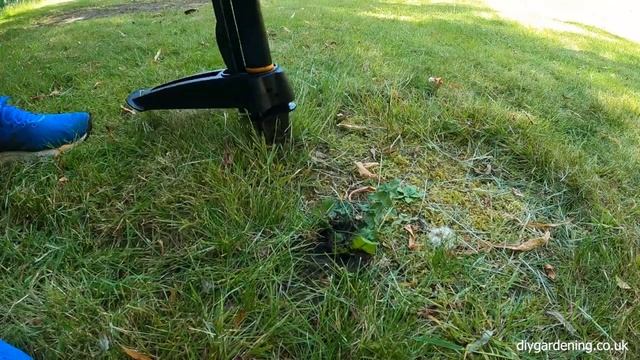 Fiskars Xact Weed Puller Test Results [Not What I Expected] смотреть онлайн