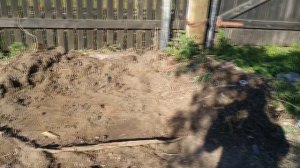 Компост, что выросло под нашей компостной кучей?