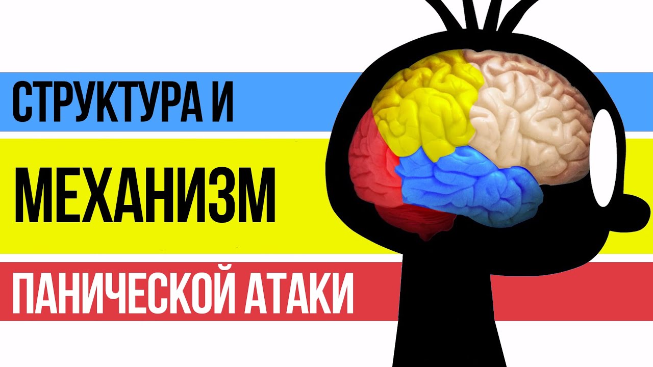 Структура и Механизм Панической Атаки | Павел Федоренко