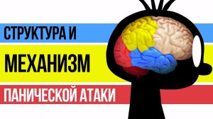 Структура и Механизм Панической Атаки | Павел Федоренко