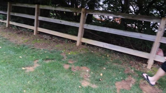 How We Explain Foster Care to Our 4-Year Old // Vlog Day 14 смотреть онлайн