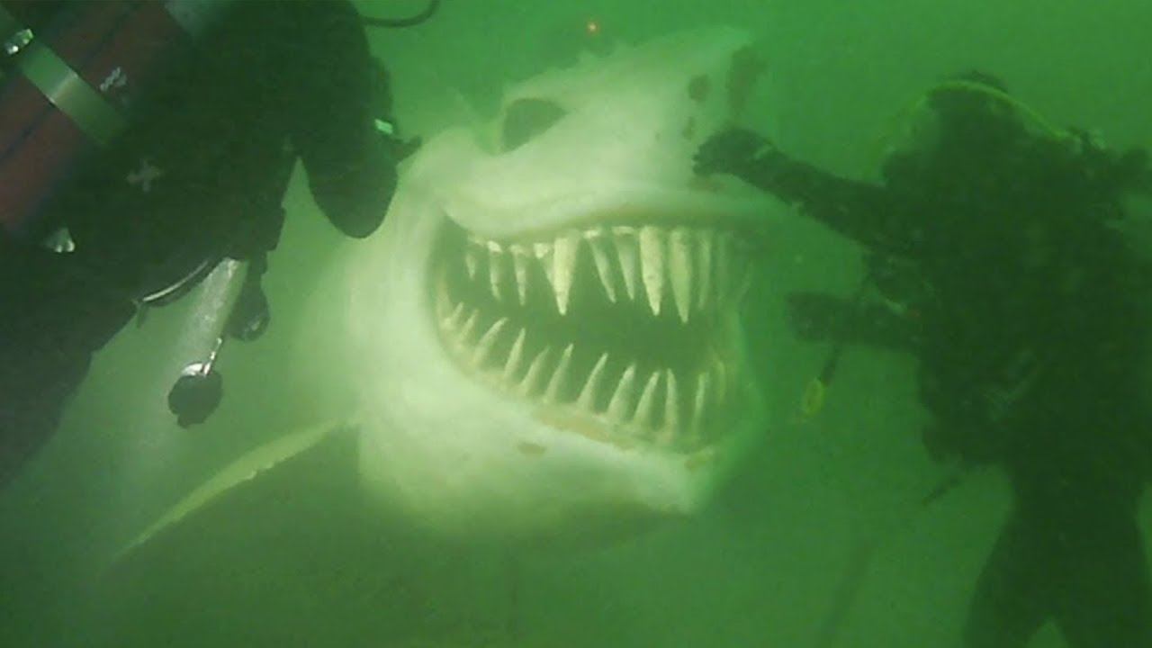 Подводная скульптура в Невшательском озере акула
