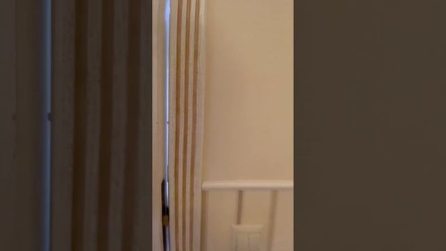 Уютная евротрешка 90м2 с дизайнерским ремонтом