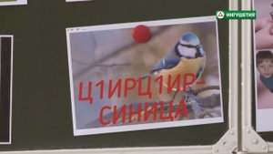 20200428 УРОК ИНГУШСКОГО ЯЗЫКА 1КЛАСС БАРАХОЕВ