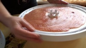 ЯБЛОЧНО-ЯГОДНАЯ ПАСТИЛА