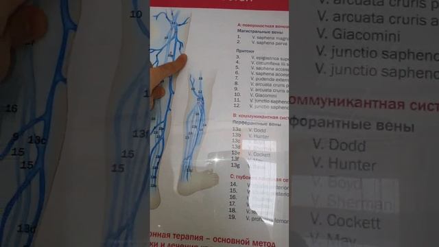Врачи-мошенники, из-за которых теряется доверие к хорошим врачам. Флеболог Москва