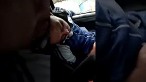 Как срубили сосну на тойота Ипсум