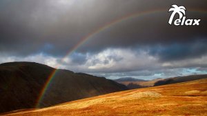 Mushroom Rain and sounds of Mountain Nature