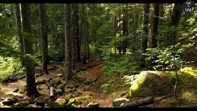 The Best Mendelssohn Meditation Music - Relax Meditation Sleep Reading Focus