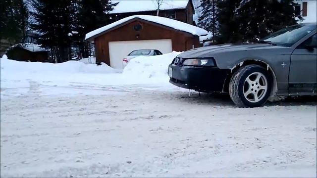 Neknomination Race смотреть онлайн