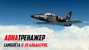 Девушка летает на тренажере самолёта Л-39 Альбатрос!