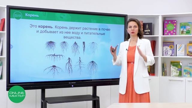 1 класс. Естествознание. 2 урок. Части растений смотреть онлайн