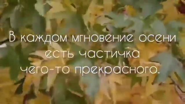 Красивые Высказывания Про Осень. Цитаты,Афоризмы, Мудрые Мысли.