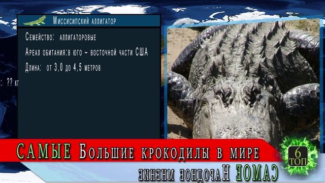 САМЫЕ САМЫЕ большие крокодилы мира | ТОП 10 самых больших в мире крокодилов