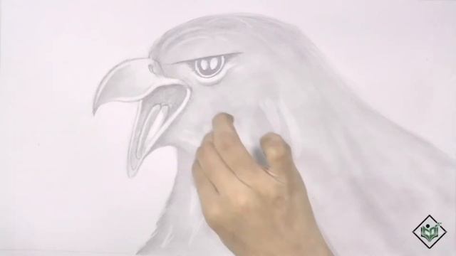 How to Sketch an Eagle смотреть онлайн