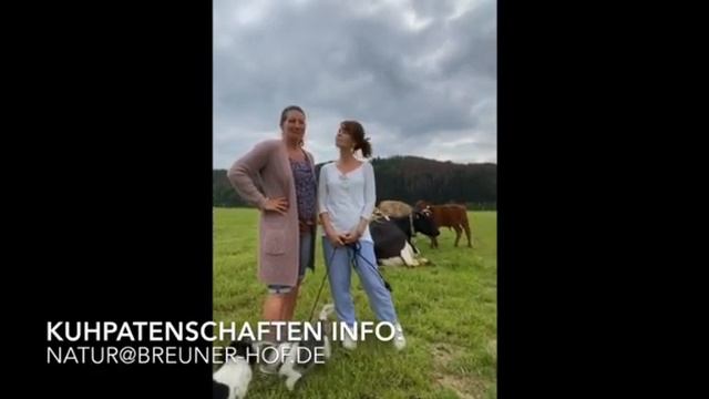 Kuhpatenschaft für das Kälbchen Ferdinand смотреть онлайн