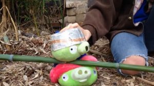 Angry Birds Toons Plush Version Season 1 Episode 4 Another Birthday