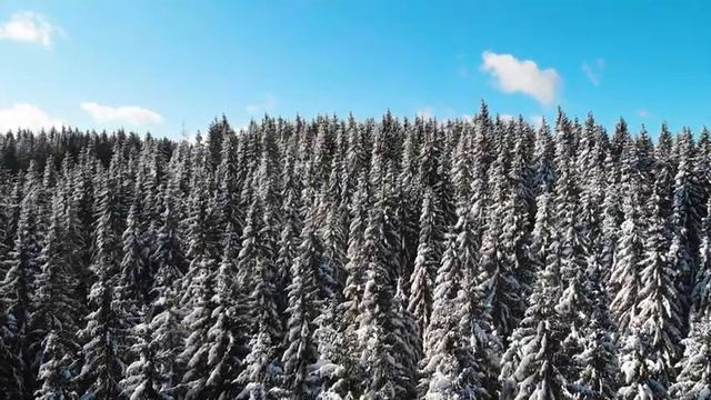 Музыка для учебы и отдыха ? Шум моря, успокаивает нервную систему и радует душу смотреть онлайн