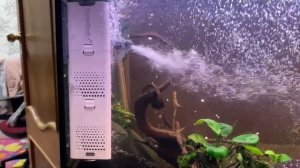 #SunSun XQP-1500F-23W Аквариумный фильтр-насос 4 в 1