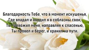 Это милость Твоя Елена Ваймер