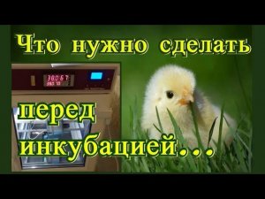 ПОДГОТОВКА ИНКУБАТОРА. КАЛИБРОВКА, ПРОВЕРКА ДАТЧИКОВ ИНКУБАТОРА