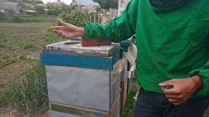 Лучший улей для слабых семей.Обшитый алюминием улей.