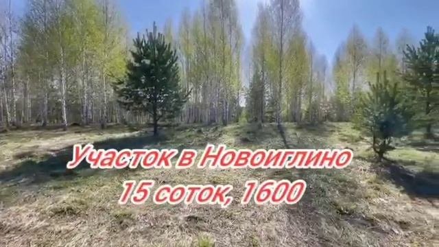 Земельный участок в Новоиглино