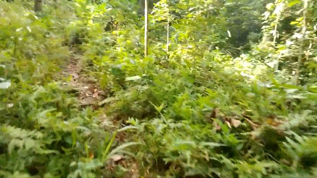 bungo na marker sa yamashita смотреть онлайн