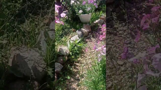 Бюджетная дача смотреть онлайн