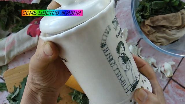 Ферментированный чай из виноградных листьев Как приготовить
