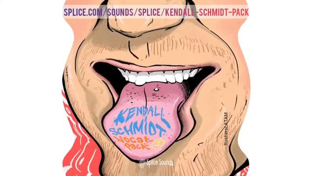 Kendall Schmidt Vocal  Package On Spilce