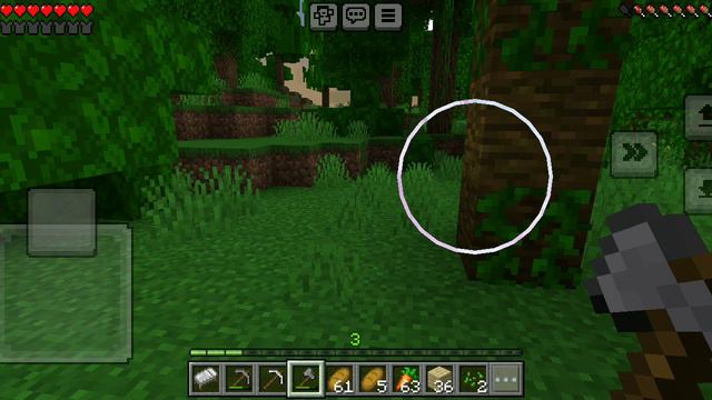 играю в Minecraft(серия 3) нашёл  джунгливый храм