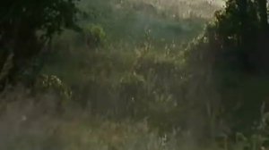 Значение биологии