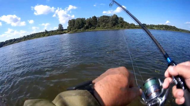 31 июля 2021 года Ловля окуня на вдх Озерна Отводной поводок! смотреть онлайн