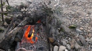 Сообща готовим рыбный ужин