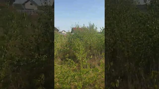 Участок №32 - 10 соток - 350 000 ₽ по Горьковскому шоссе 99 км в деревне Старое Аннино смотреть онлайн