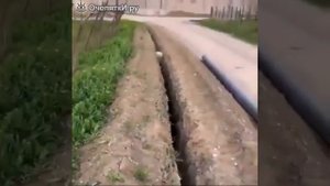 Вот уж настоящий баран.mp4