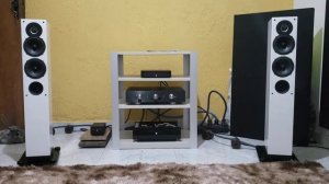 Indiana Line Tesi 542