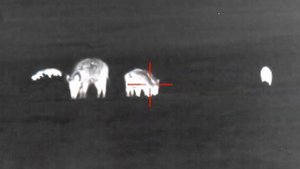 ATN MARS 4 640 2,5-25x