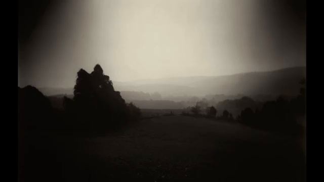 FLESH - Stigmatized смотреть онлайн